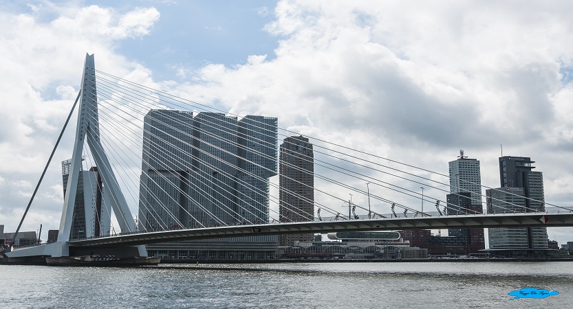 Al momento stai visualizzando Rotterdam cosa vedere in 3 giorni