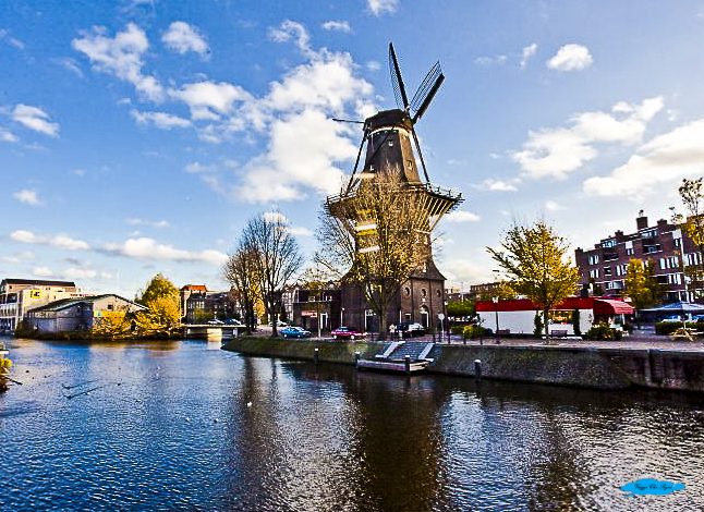 Amsterdam in 5 giorni: De-Gooyer-windmill
