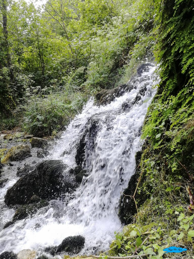 Le Oasi WWF del fiume Bussento 11 cascata del mulino