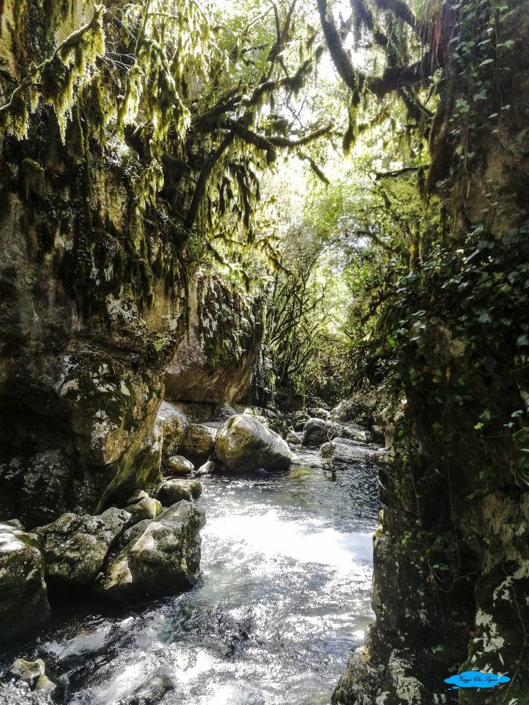 Le Oasi WWF del fiume Bussento 15 lo scorrere del fiume