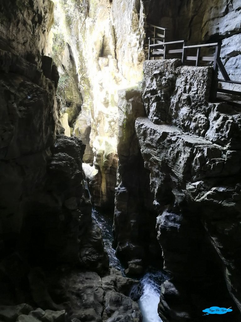Le Oasi WWF del fiume Bussento 19 l'interno