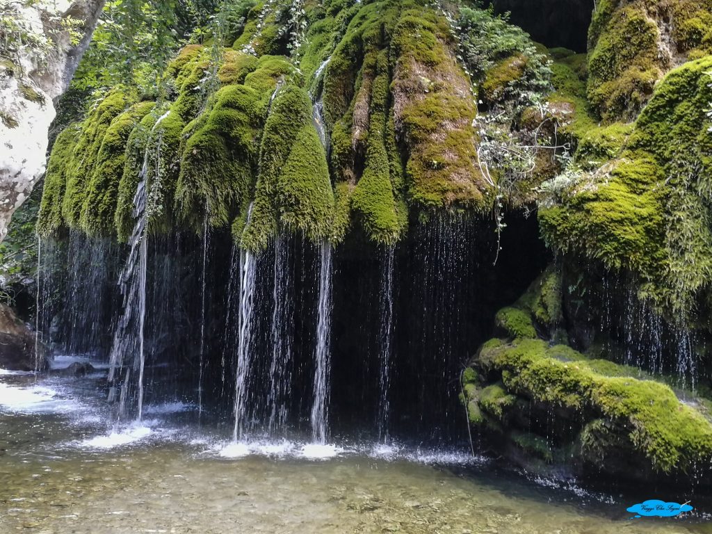 Le Oasi WWF del fiume Bussento 20 cascata capelli di venere