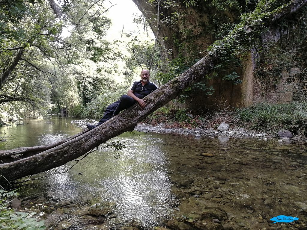Le Oasi WWF del fiume Bussento 22 io e l'albero