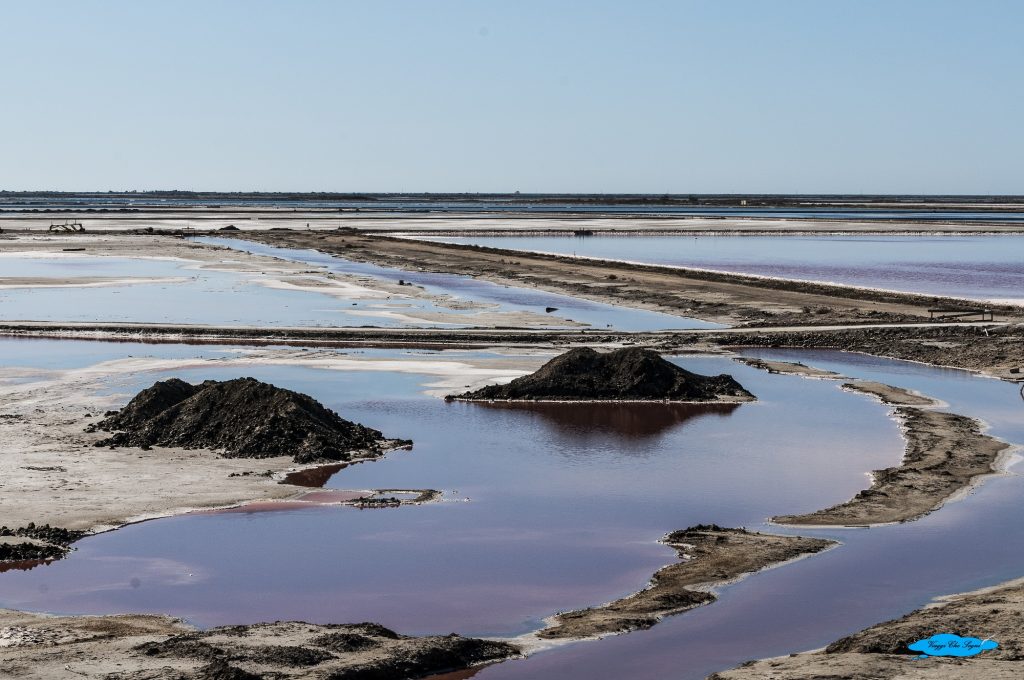 Saline rosa di Giraud in Camargue 10 altra griglia