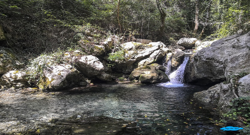 Al momento stai visualizzando Le Oasi WWF del fiume Bussento