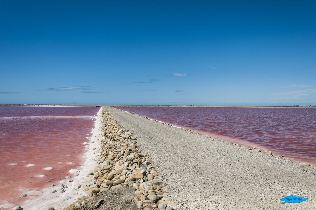 Saline rosa di Giraud in Camargue 12 due mari rosa