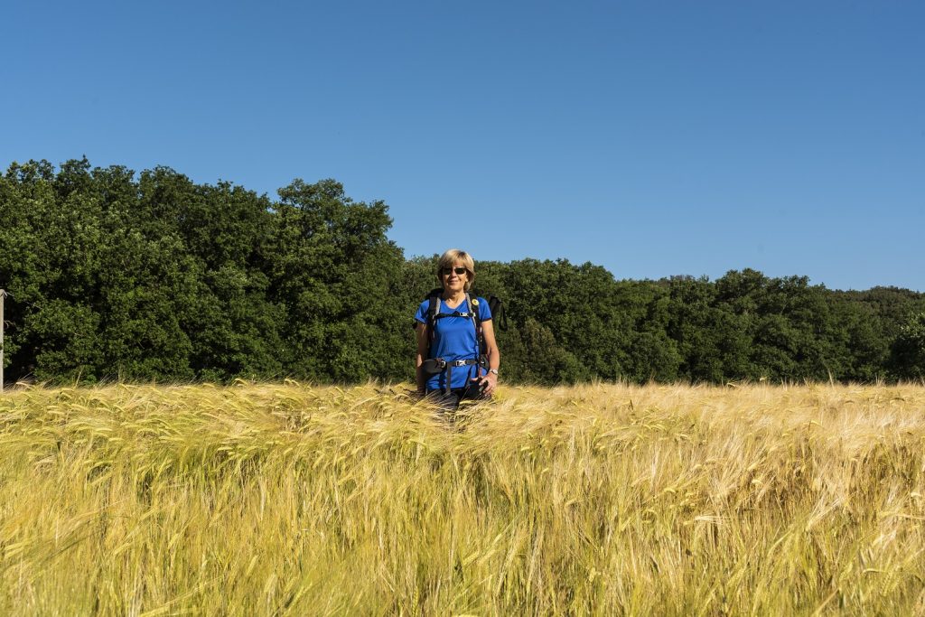cammino dei borghi silenti: tenaglie campi di grano